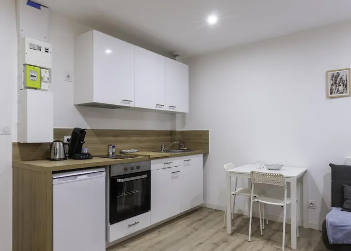 Cosy Hyper Centre - Fibre - Netflix Daire Segré